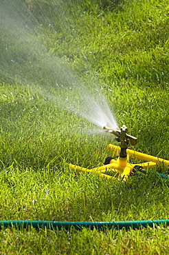 Sprinkler on a green lawn