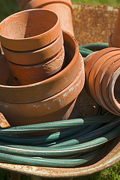 Still life of flowerpots