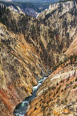 USA, Wyoming, Yellowstone National Park, Yellowstone River flowing through Grand Canyon in Yellowstone National Park