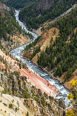 USA, Wyoming, Yellowstone National Park, Yellowstone River flowing through Grand Canyon in Yellowstone National Park