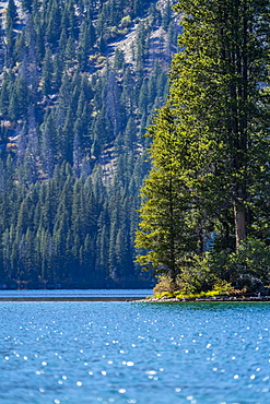 USA, Idaho, Stanley, Alpine lake and trees in Sawtooth Range