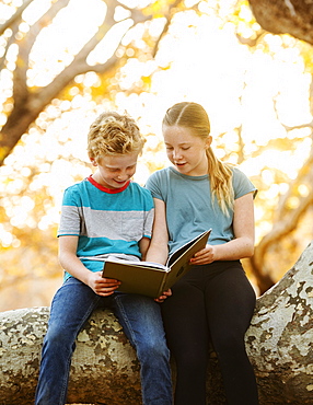 United States, California, Mission Viejo, Boy (10-11) and girl (12-13) sitting on tree branch and reading book