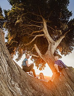 United States, California, Cambria, Mother with son (10-11) and daughter (12-13) sitting on tree in landscape at sunset