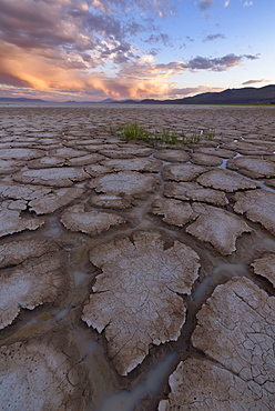 United States, Oregon, Cracked soil in desert at sunset