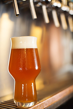 Beer resting under beer taps