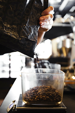 Coffee shop barista pouring coffee beans, close-up