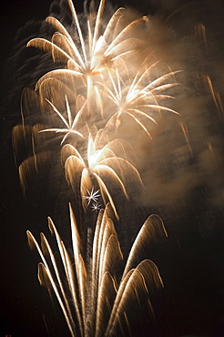 Fireworks in the night sky