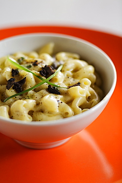 Macaroni cheese with truffle