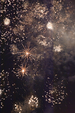 Fireworks in the night sky