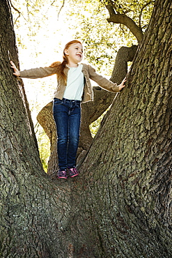 Portrait of girl gazing from tree