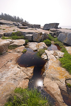 Rocky Maine coast in Acadia National Park