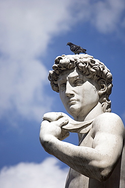 Michelangelo's David in the Piazza della Signoria Florence Italy