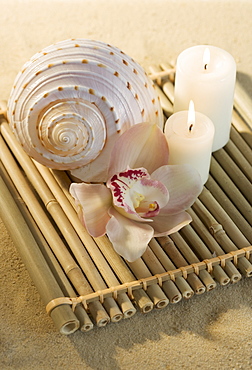 Still life of orchids, candles and seashell