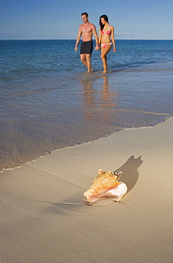 Couple walking the beach