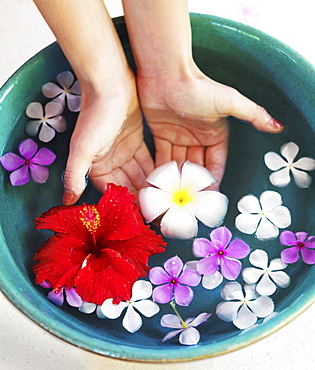 Human hands in bowl with floating flower heads