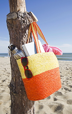 Bag hanging on tree trunk at sandy beach, USA, Massachusetts, Nantucket