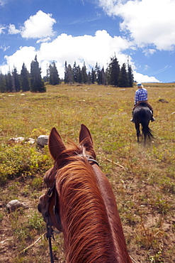 Woman riding horse, USA, Western USA, Colorado