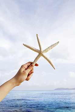 United States Virgin Islands, St. John, Starfish held by female hand, United States Virgin Islands, St. John