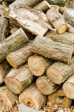 Stack of firewood