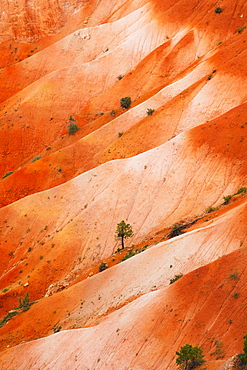 Elevated view of barren land, USA, Utah, Bryce Canyon