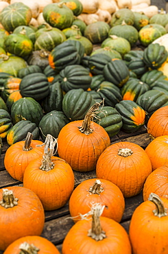 Heap of pumpkins