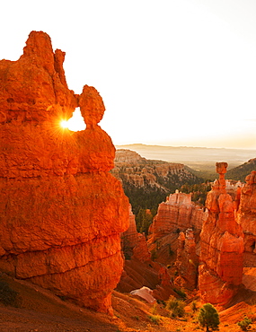 View of Thor's Hammer, USA, Utah, Bryce Canyon