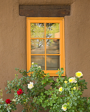 Window with roses, USA, New Mexico, Santa Fe