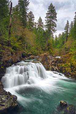 Waterfall on Santiam river, Marion County, Oregon