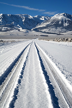 Tyre track on snow, Eastern Sierra California