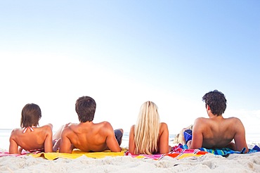 Two men and women, lying on their towels on the beach