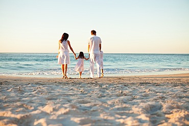 Back view of family walking on the beach