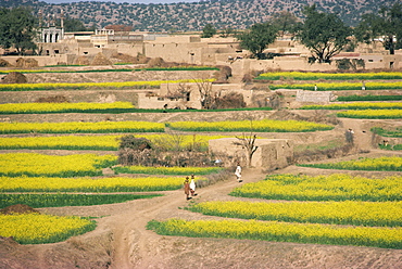 Village near Rawalpindi, Pakistan, Asia