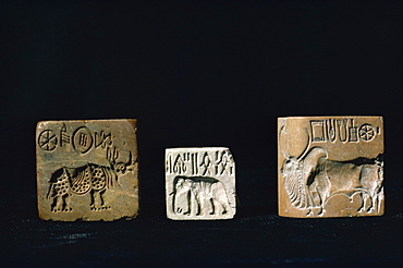 Seals from Mohenjodaro, Karachi Museum, Pakistan, Asia