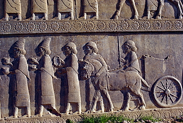 Reliefs, Persepolis, UNESCO World Heritage Site, Iran, Middle East