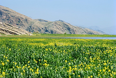 Lake Paresham, Iran, Middle East