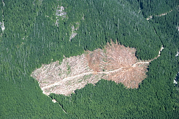 Logged area and surrounding forest from the air, British Columbia, Canada, North America