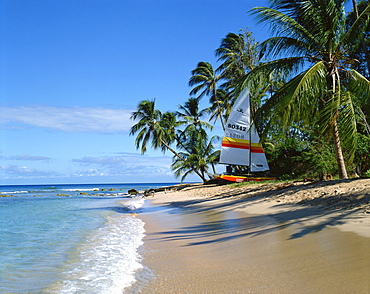 Catamaran on beach, Barbados, West Indies, Caribbean, Central America