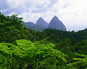 The Pitons, St. Lucia, Windward Islands, West Indies, Caribbean, Central America