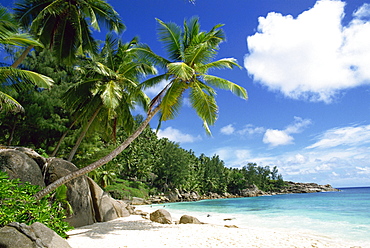 Beach, Anse Intedance, Mahe, Seychelles, Indian Ocean, Africa