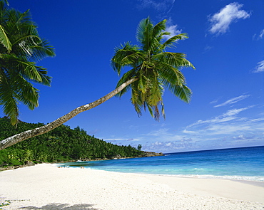 Anse Intedance, Mahe, Seychelles, Indian Ocean, Africa