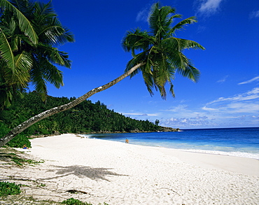 Anse Interdance, Mahe island, Seychelles, Indian Ocean, Africa