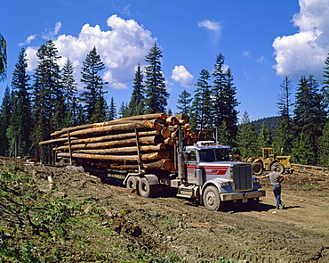 Logging truck, British Columbia, Canada, North America