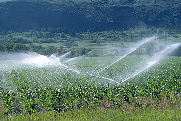 Irrigation system, British Columbia, Canada, North America