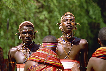 Samburu warriors dancing, Kenya, East Africa, Africa