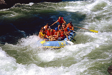 White water rafting, Adams River, British Columbia, Canada, North America