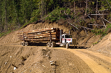 Logging truck, British Columbia, Canada, North America