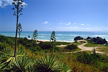 South coast beach, Bermuda, Atlantic Ocean, Central America