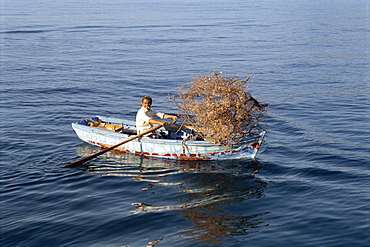 Southern Turkish coast near Fethiye, Anatolia, Turkey, Asia Minor, Eurasia