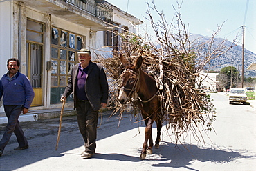 Old man with donkey carrying firewood, Crete, Greek Islands, Greece, Europe