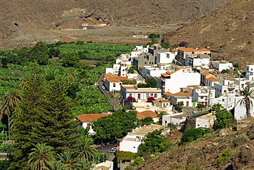 Houses beside banana plantations, Santiago, La Gomera, Canary Islands, Spain, Atlantic Ocean, Europe